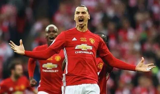 应对公牛的 应对公牛的